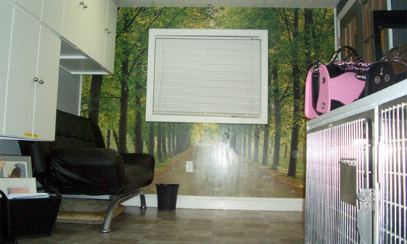 Wooded Path Indoor Suites