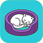 cat boarding