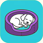 dog-boarding